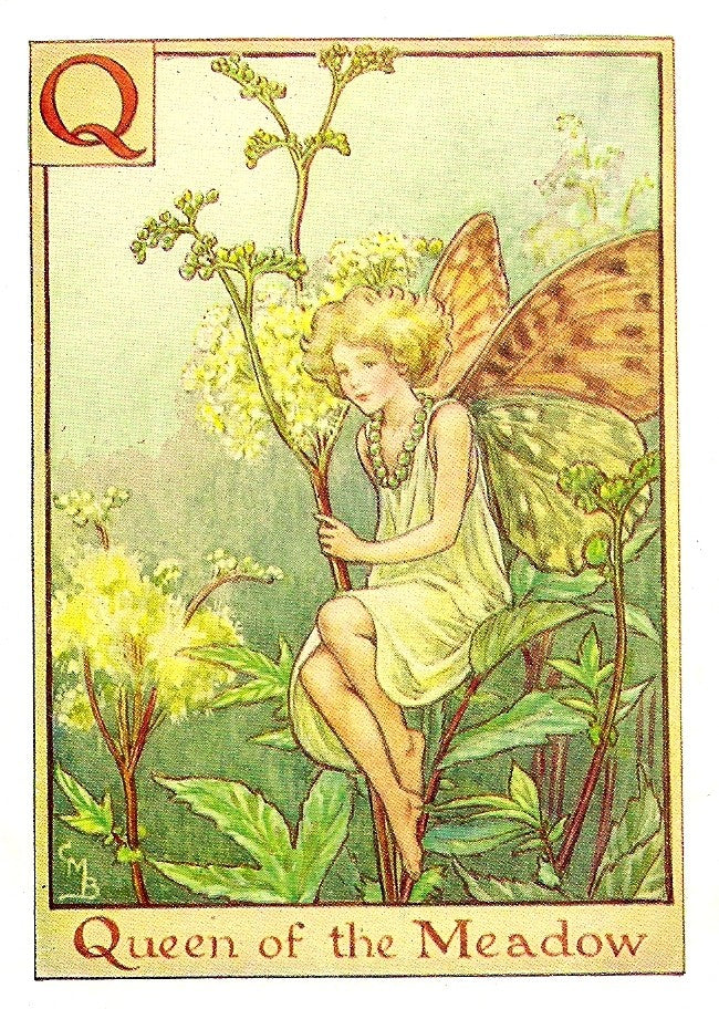 Queen of the Meadow Alphabet Flower Fairy guaranteed vintage print