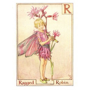 Ragged Robin Alphabet Flower Fairy guaranteed vintage print
