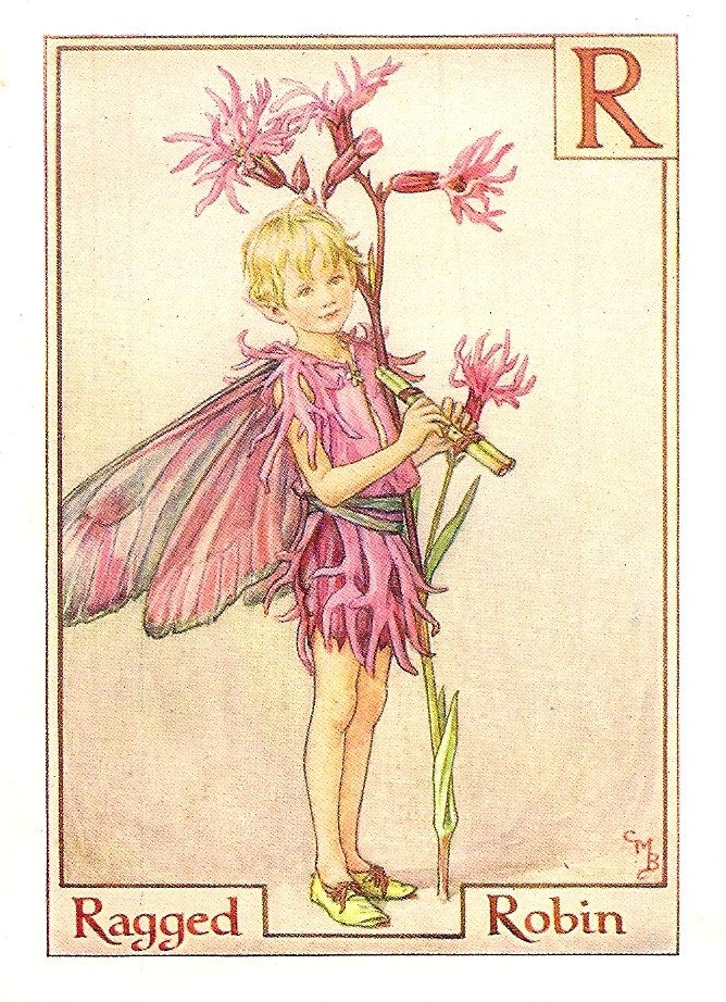 Ragged Robin Alphabet Flower Fairy guaranteed vintage print
