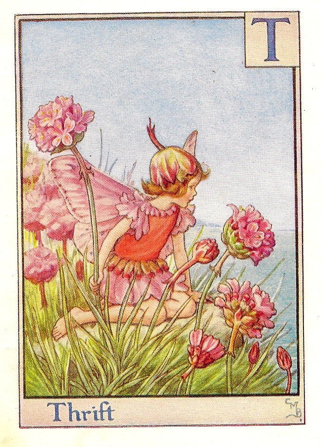 Thrift Flower Fairy guaranteed vintage print