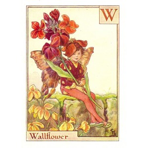 Wallflower Flower Fairy guaranteed vintage print for sale
