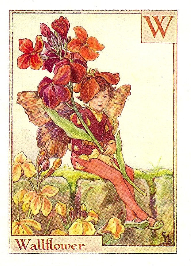 Wallflower Flower Fairy guaranteed vintage print for sale