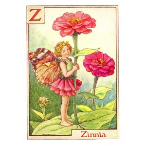 Zinnia Flower Fairy original vintage print