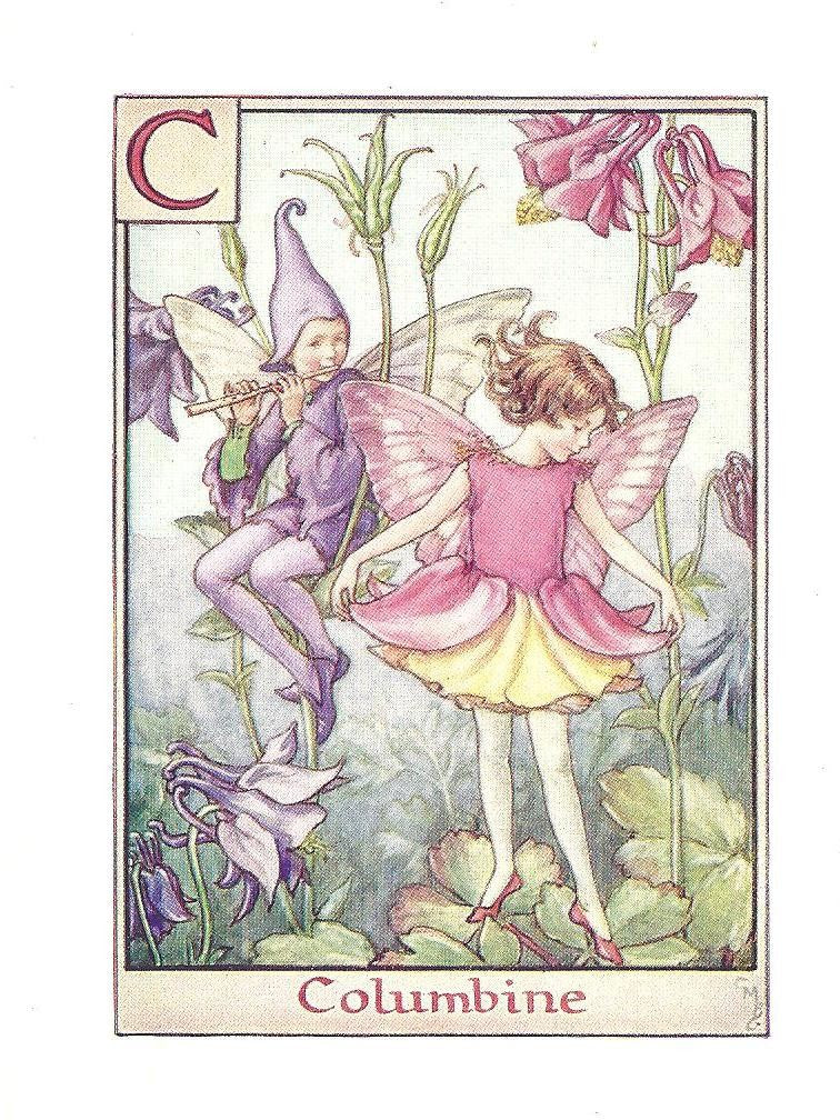 Columbine flower fairy vintage print