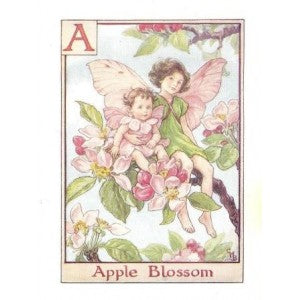 Apple Blossom flower fairy original vintage print