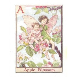 Apple Blossom flower fairy vintage print