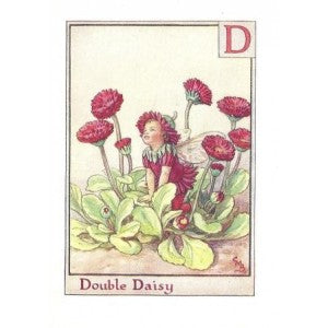 Double Daisy flower fairy