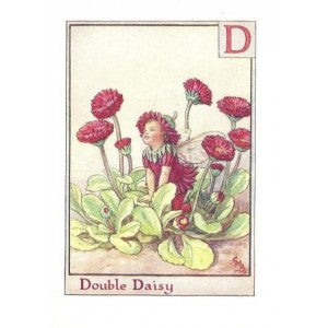 Double Daisy flower fairy vintage print