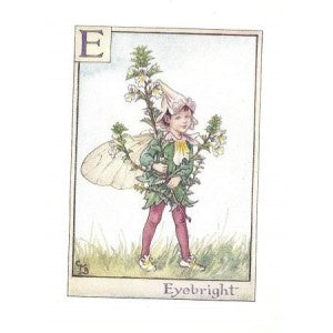 Eye Bright Flower Fairy vintage print