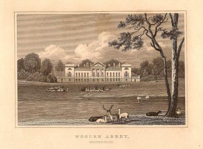 Woburn Abbey Bedfordshire antique print