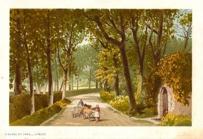 Jersey Vinchelez Lane antique print 1890