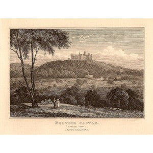 Belvoir Castle Leicestershire antique print 1847