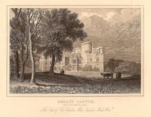 Belsay Castle Northumberland antique print 1847