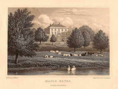 Maple Hayes Staffordshire antique print 1847