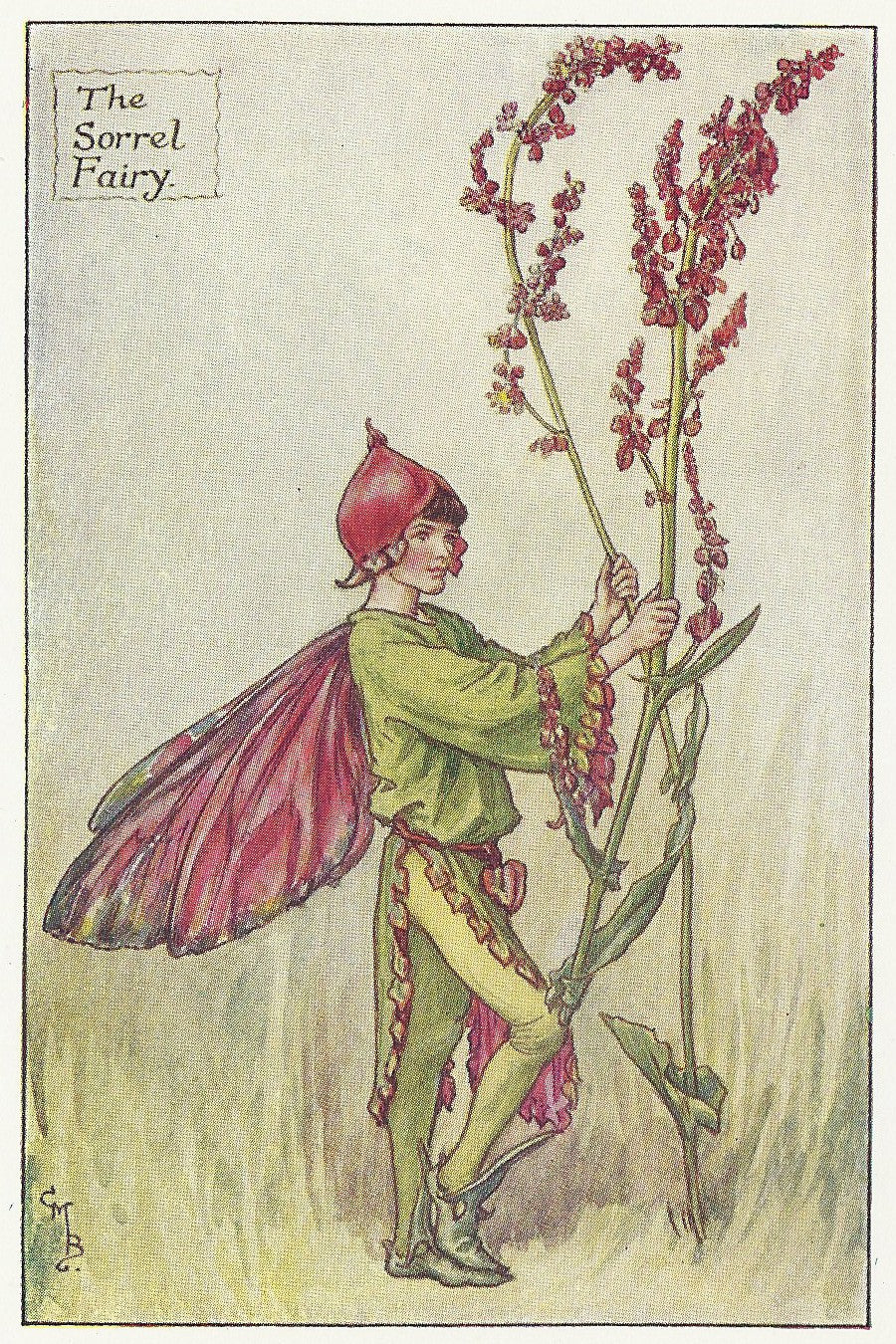 Sorrel Flower Fairy guaranteed original vintage print