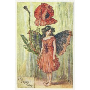 Poppy Fairy old original vintage print for sale