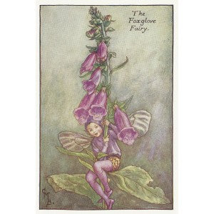 Foxglove Flower Fairy guaranteed original vintage print