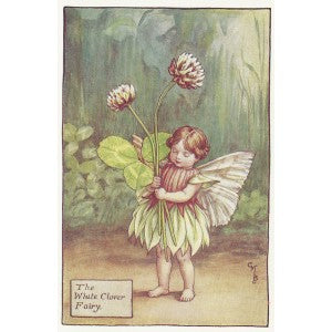 Flowers White Clover Fairy old print for sale