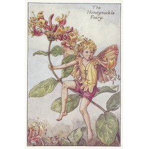 Honeysuckle Flower Fairy guaranteed original print for sale