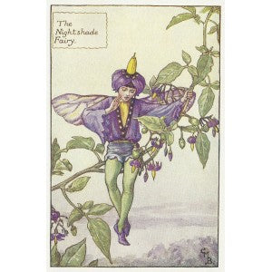 Flowers Nightshade Fairy antique print for sale