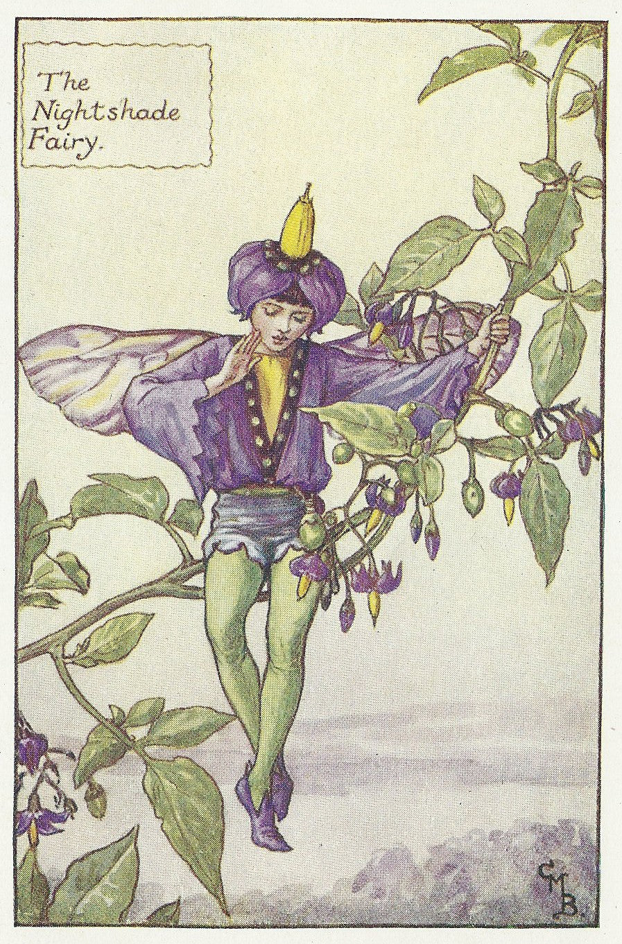 Flowers Nightshade Fairy antique print for sale