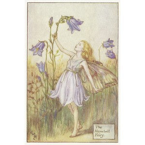 Flower Fairies Harebell Fairy old print for sale