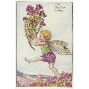 Heather Flower Fairy of the Summer guaranteed antique print for sale