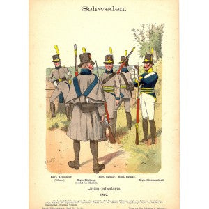 Swedish Line Infantry antique print