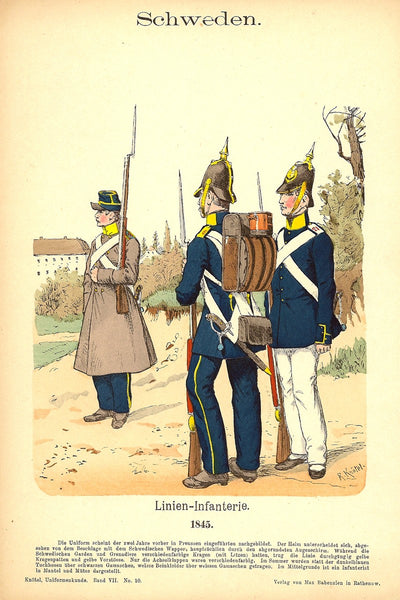 Swedish Line Infantry antique print
