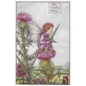 Flowers Thistle Fairy of Scotland old vintage print