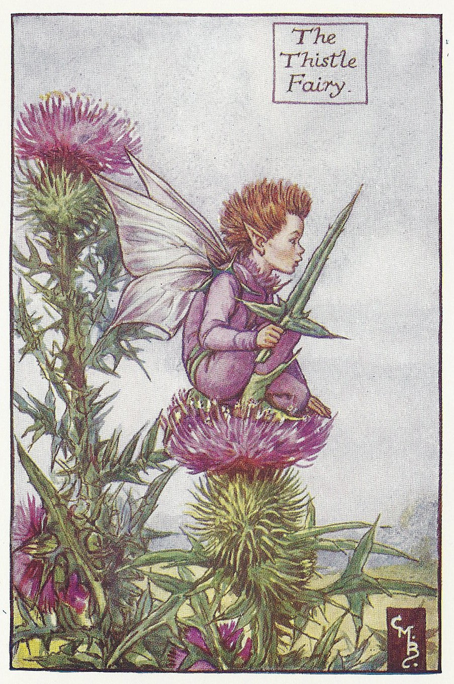 Flowers Thistle Fairy of Scotland old vintage print
