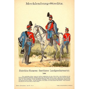 Mecklenburg-Strelitz Distrikts-Husaren antique print dated 1908