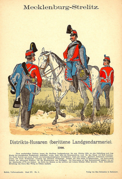 Mecklenburg-Strelitz Distrikts-Husaren antique print dated 1908