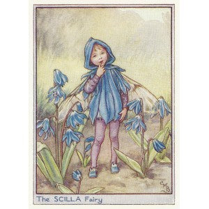 Scilla flower Fairy guaranteed vintage print for sale