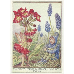 Flower Fairies Polyanthus & Grape Hyacinth Fairy vintage print