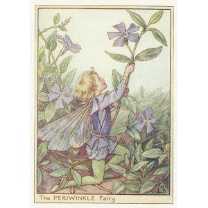Periwinkle Flower Fairy old print for sale