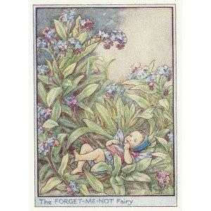 Forget-me-not Flower Fairy guaranteed vintage print