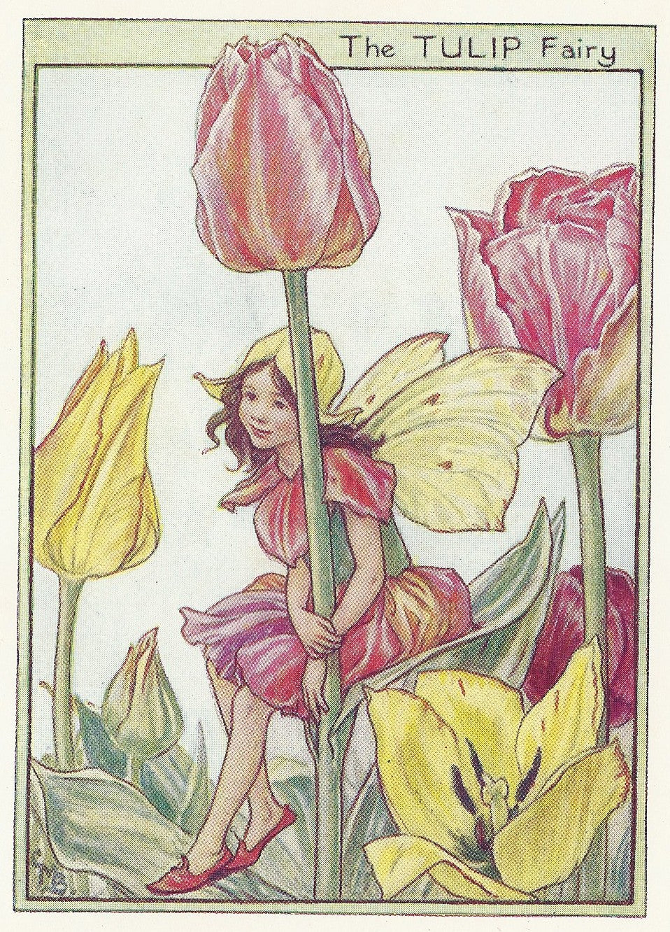 Tulip Garden Fairy original vintage print for sale