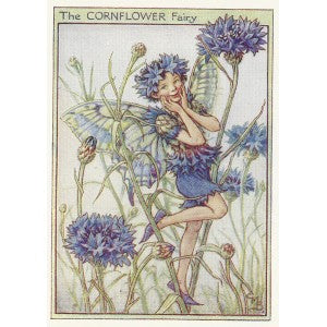 Cornflower Garden Flower Fairy vintage print for sale