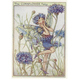 Cornflower Garden Flower Fairy old print for sale