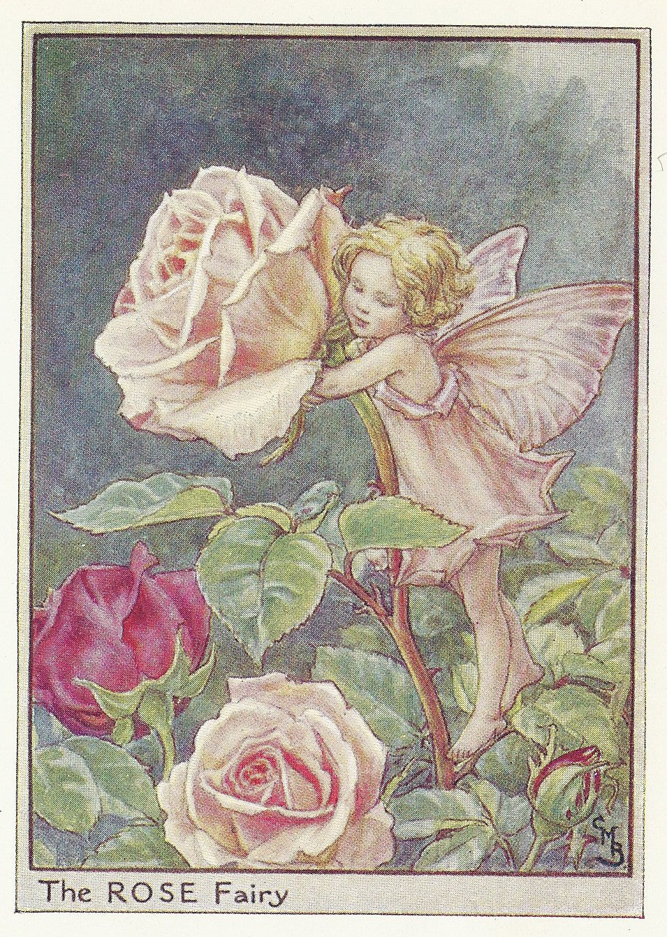 Rose Fairy from 'Flower Fairies of the Garden' by Cicely Mary Barker