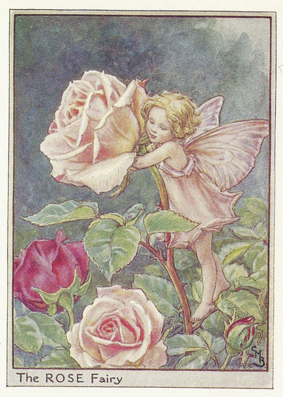 Rose Garden Flower Fairy old print for sale