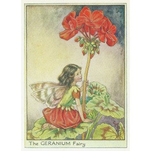 Geranium Garden Fairy original old print for sale