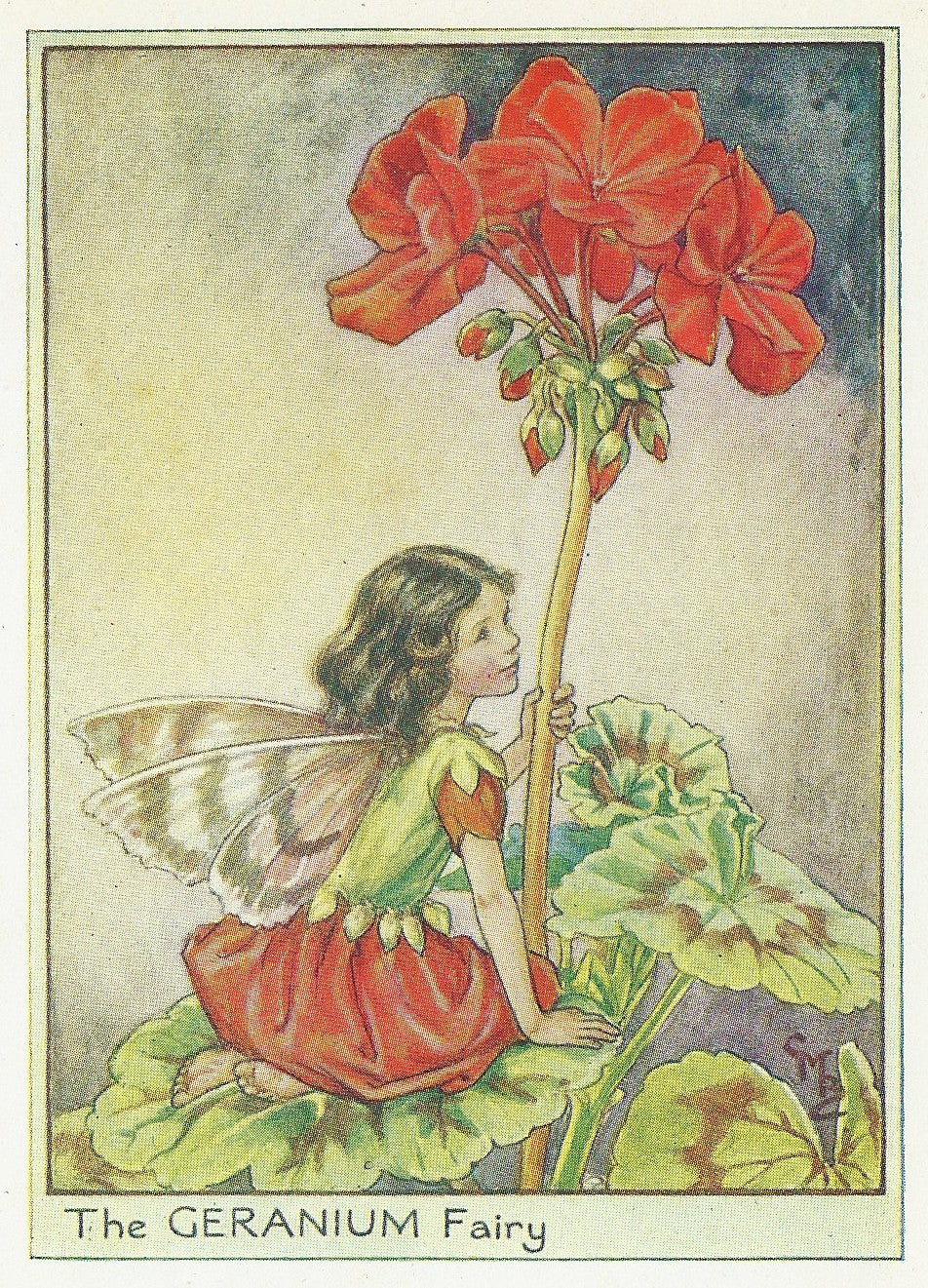 Geranium Garden Fairy original old print for sale