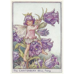 Canterbury Bell Flower Fairy vintage print