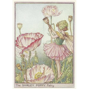 Poppy Fairy Garden Fairies original print for sale