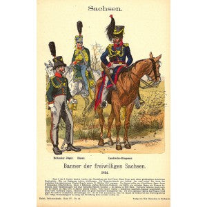 Saxon volunteers antique print