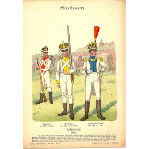 Saxon Infantry Sachsen Infanterie Richard Knotel antique print 1896