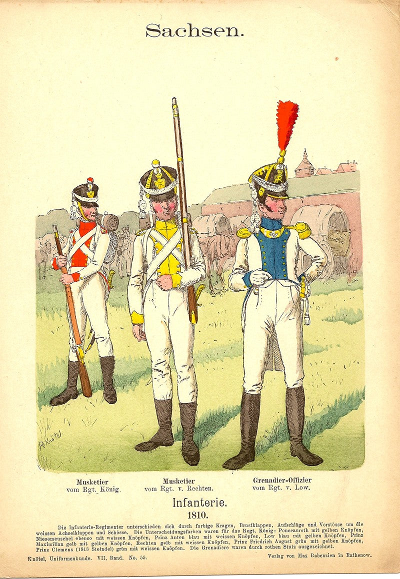 Saxon Infantry Sachsen Infanterie Richard Knotel antique print 1896
