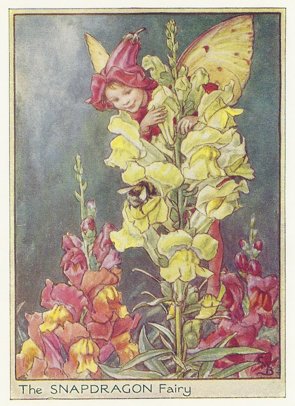 Snapdragon Flower Fairy with a Bumble Bee vintage print